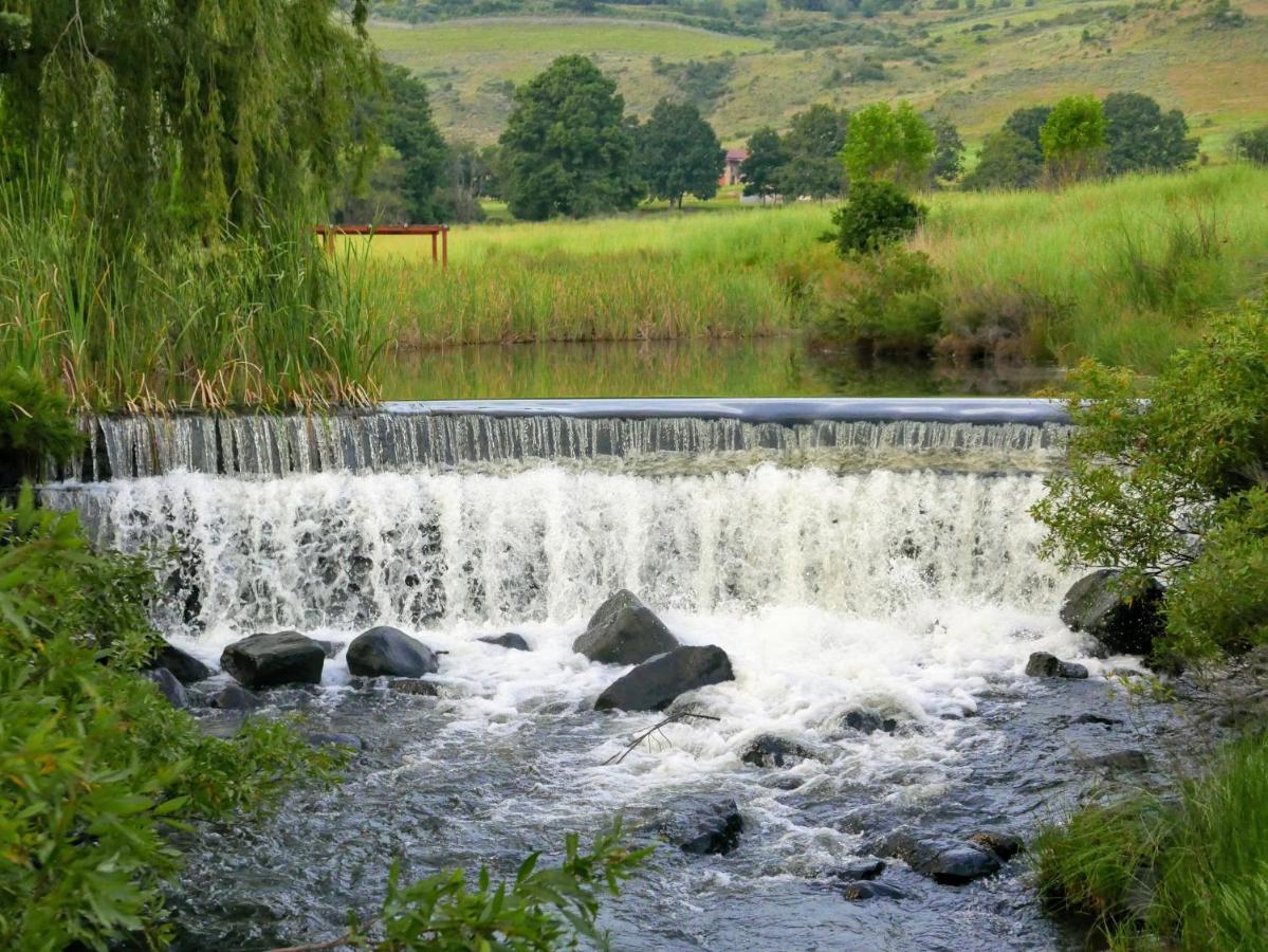 Walkersons Trout And Nature Haven 德尔斯特鲁姆 外观 照片