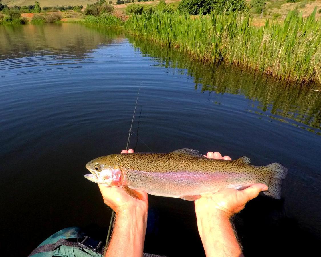 Walkersons Trout And Nature Haven 德尔斯特鲁姆 外观 照片