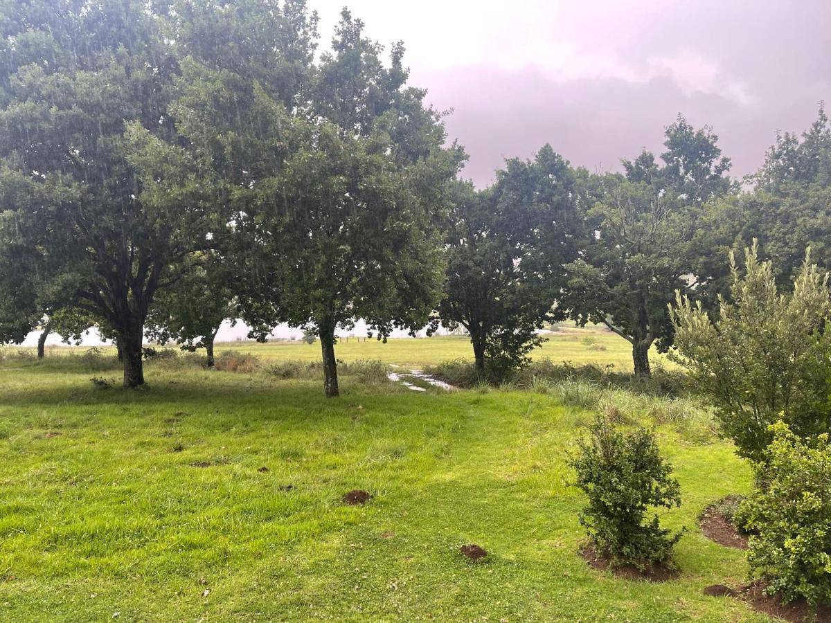 Walkersons Trout And Nature Haven 德尔斯特鲁姆 外观 照片