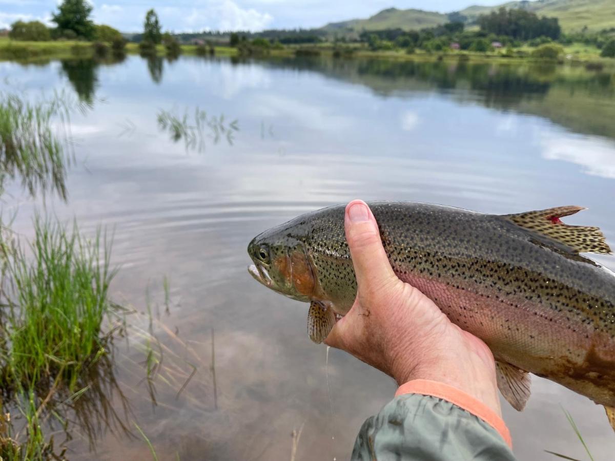 Walkersons Trout And Nature Haven 德尔斯特鲁姆 外观 照片