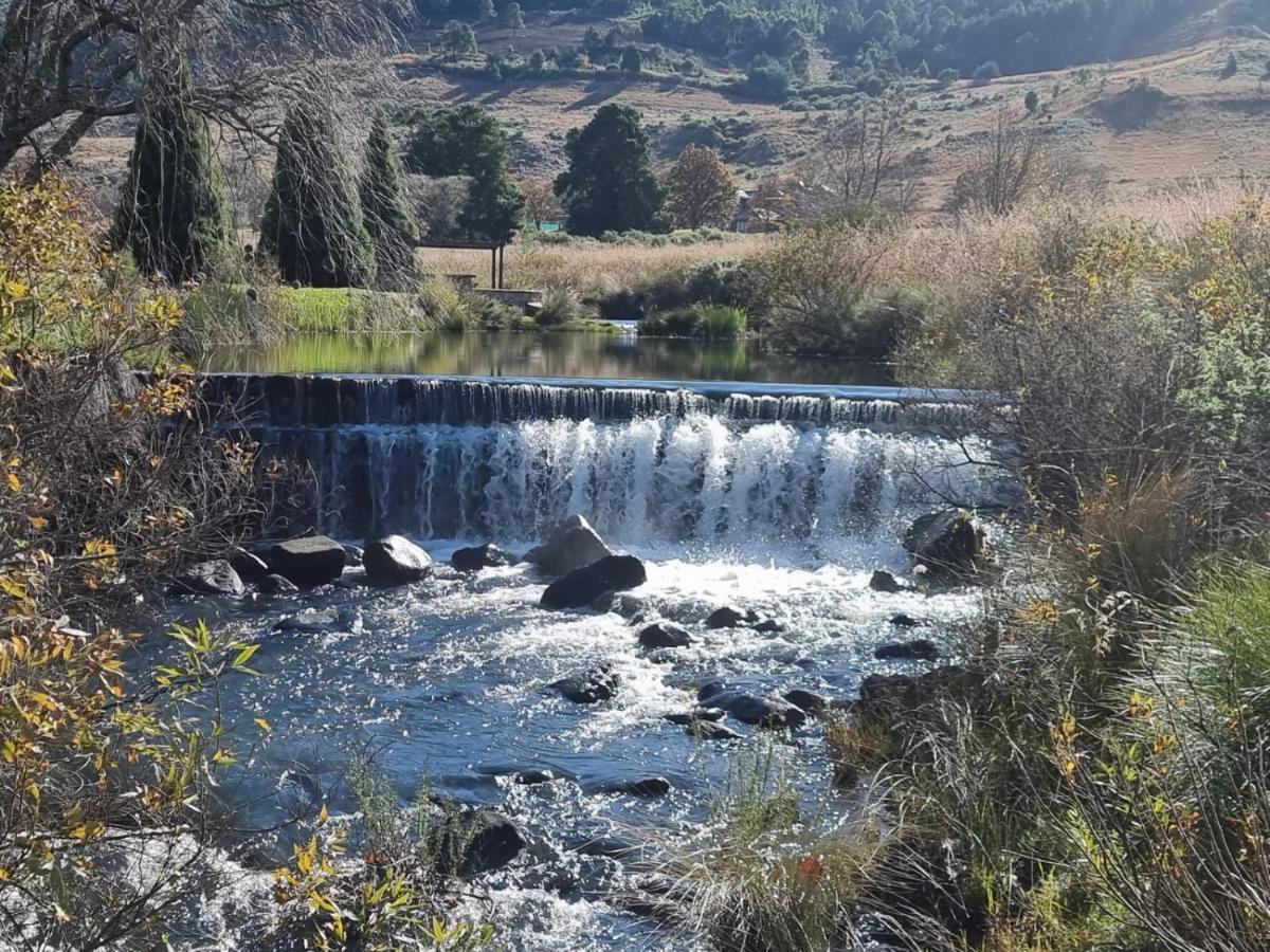 Walkersons Trout And Nature Haven 德尔斯特鲁姆 外观 照片